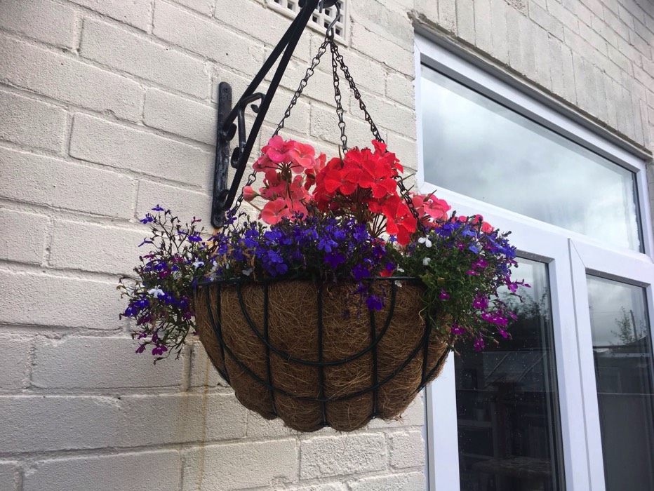 hanging baskets